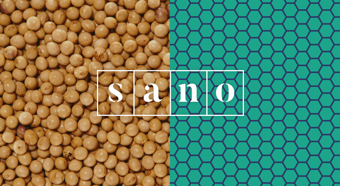 Sano食品品牌形象策略與企業(yè)vi設計，食品logo設計